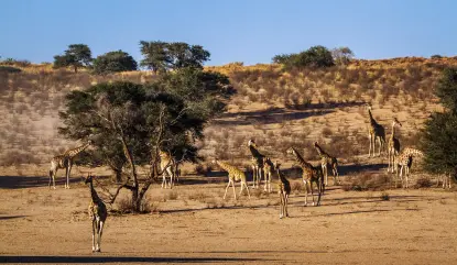 Kenya Safari, Culture & Beach Tour Package