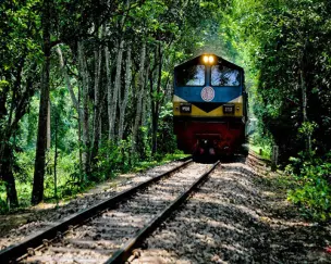 Srimangal Tour Package from Dhaka