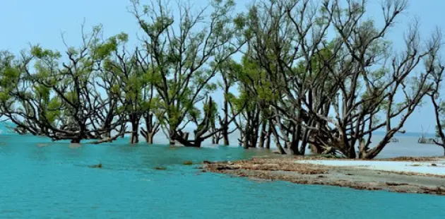 Sundarban Tour Package from Dhaka