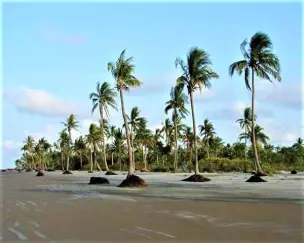 Kuakata Tour Package