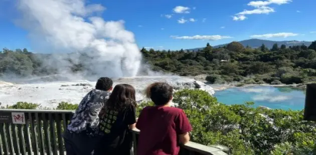 New Zealand Northern Scenic Highlights